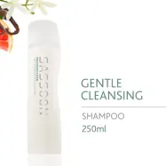 Sassoon, Precision Clean Shampoo