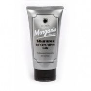 Shampoo for Grey/Silver Hair