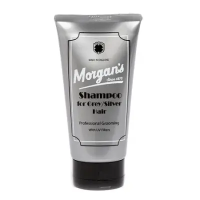 Shampoo for Grey/Silver Hair