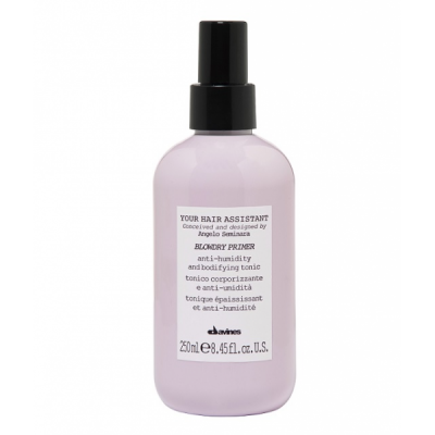 Davines Your Hair Assistant Blowdry Primer 250ml