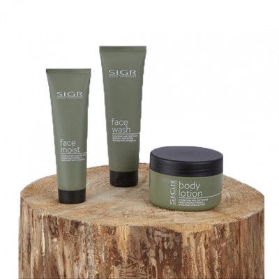 SIGR The Basics Hudset