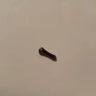 Fingerstöd