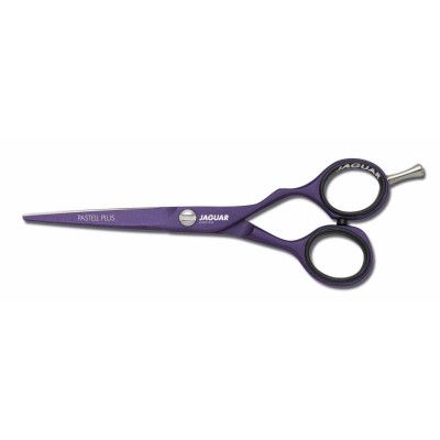 Pastell Plus - Frisörsax med färg