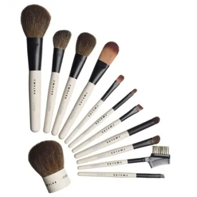 Large Make Up Brush Set