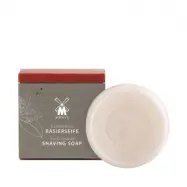Raktvål Sandalwood